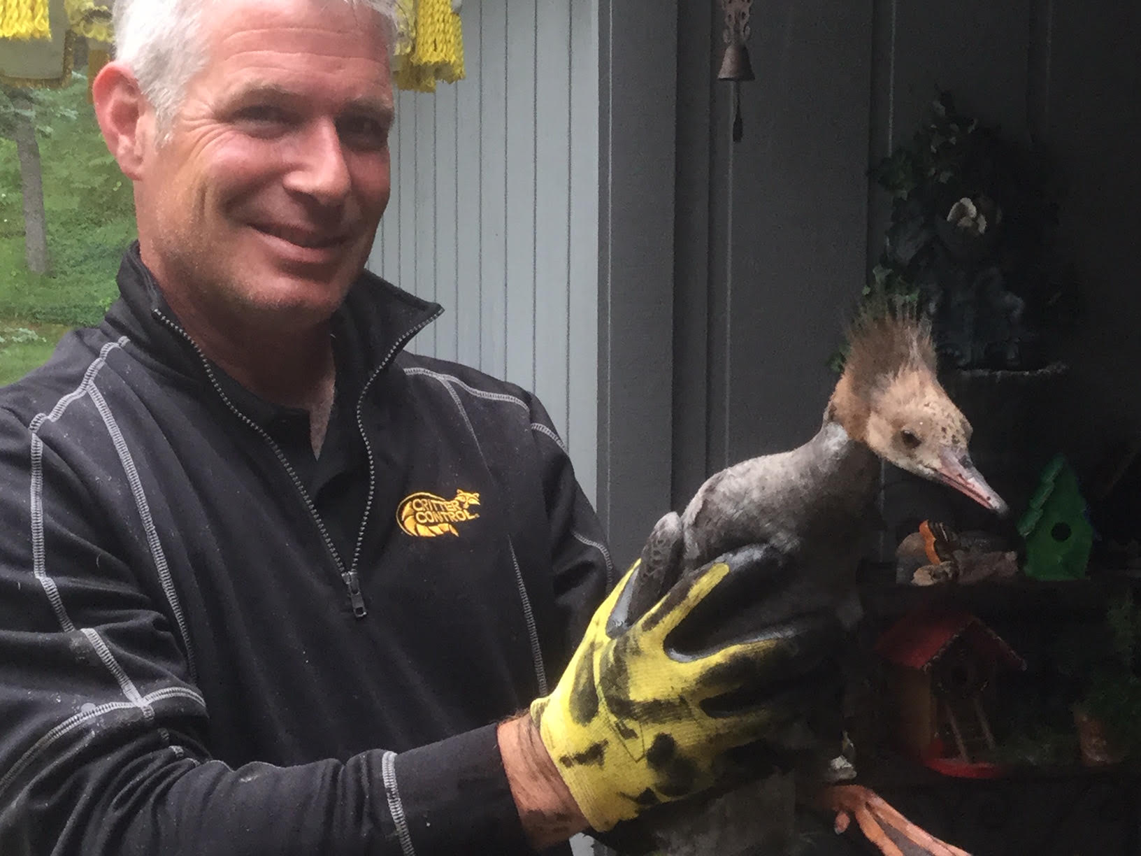 Wildlife critter removed in Indianapolis 